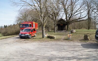 Weihnachtsbaumaktion 2025