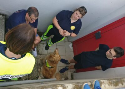 Rettungshundestaffel