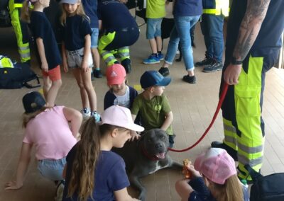Rettungshundestaffel Hundevorstellung